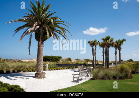 Großen Dünen Park - Jekyll Island, Georiga USA Stockfoto