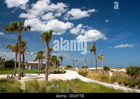 Großen Dünen Park - Jekyll Island, Georiga USA Stockfoto