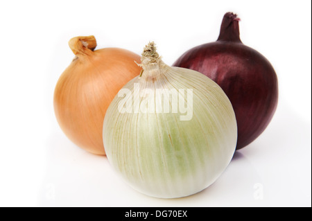 Drei verschiedene Typen Zwiebeln auf weißem Hintergrund Stockfoto