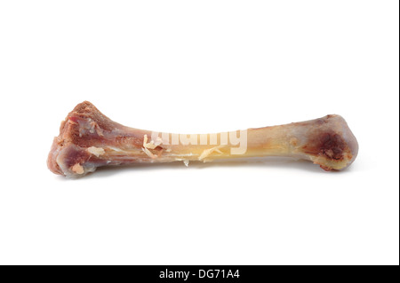 Hühnerknochen Bein isoliert auf weiss Stockfoto