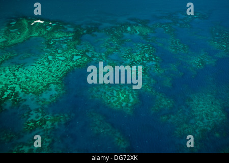 Luftaufnahme von bunten Korallenriff, upolu Caye, und Wasser in Arlington Riff in der Great Barrier Reef Marine Park Stockfoto