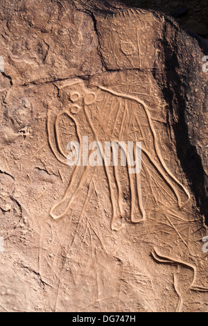 Prähistorische Felszeichnungen auf Aman Ighribin auf der Tata Akka Road in Marokko Stockfoto