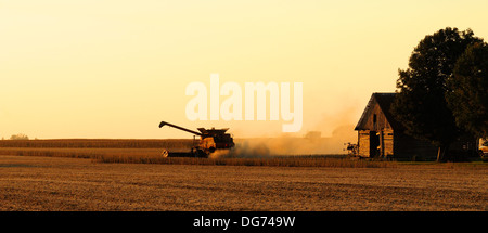 Case IH Mähdrescher erntet Sojabohnen Stockfoto