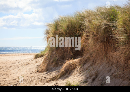 Dünen an einem einsamen Strand in Druridge Bay, Northumbria. Stockfoto