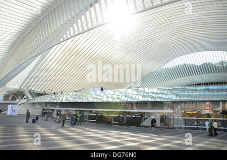 Bahnhof Liège-Guillemins entworfen vom Architekten Santiago Calatrava in Lüttich Belgien Stockfoto