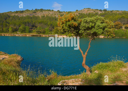 Ruidera Lagunen, Lagunas de Ruidera Natural Park. Provinzen Albacete und Ciudad Real, Spanien. Stockfoto