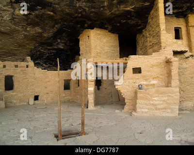 Eine hölzerne Leiter hinunter eine Kiva, Spruce Tree House, Mesa Verde Nationalpark, Colorado Stockfoto