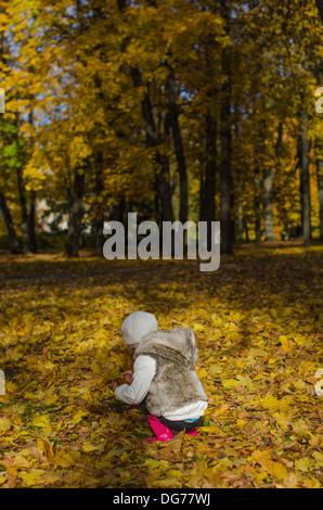 Kleines Mädchen sammelt Laub im Herbst. Von der Rückseite Stockfoto