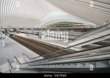 Bahnhof Liège-Guillemins entworfen vom Architekten Santiago Calatrava in Lüttich Belgien Stockfoto