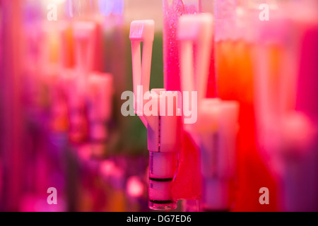 Nahaufnahme von einem bunten cocktail Flasche Dispenser in einer ausgefallenen Messe in Bourges, Frankreich. Stockfoto