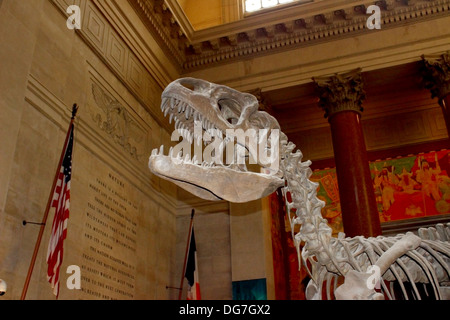 Ein Tyrannosaurus Rex erhebt sich über der Lobby des American Museum of Natural History in New York City Stockfoto