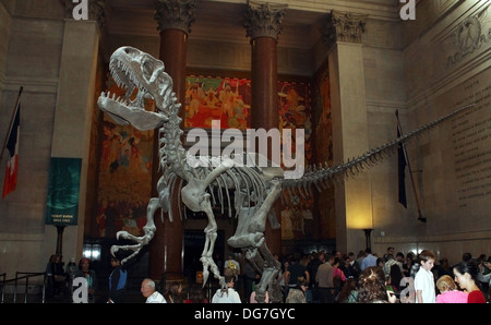 Ein Tyrannosaurus Rex erhebt sich über der Lobby des American Museum of Natural History in New York City Stockfoto