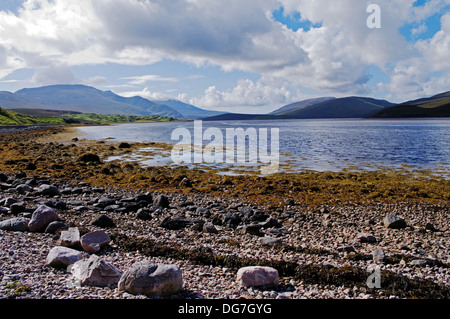 Nordküste 500-Algen durch ebbing Tide auf Pebble Beach ergab, Kyle von Durness, Keoldale, Durness, Sutherland, nördlichen Highlands, Schottland Großbritannien Stockfoto