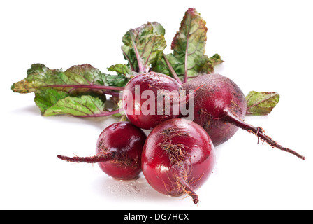 Rüben Wurzeln isoliert auf weißem Hintergrund. Stockfoto