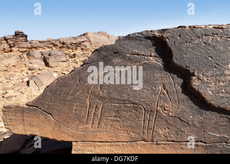 Prähistorische Felszeichnungen auf Aman Ighribin auf der Tata Akka Road in Marokko Stockfoto