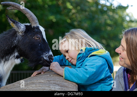 kleines Mädchen, eine Ziege, ihre Mutter hielt sie füttern Stockfoto