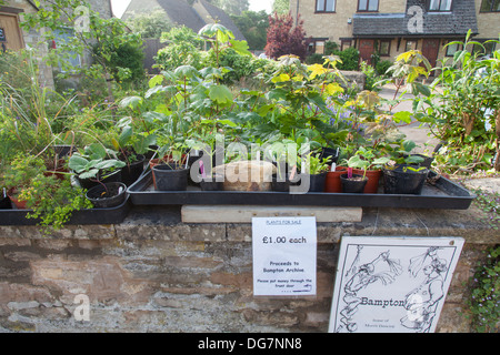 Schilder Werbung Morris Tanz und Pflanzen für den Verkauf auf einer Steinmauer in Bampton, Oxfordshire. Stockfoto