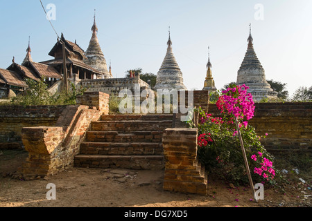 Minochantha Stupa Gruppe, Alt Bagan, Myanmar, Asien Stockfoto