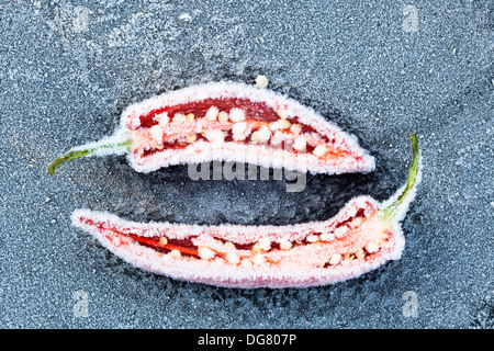 Red hot chili Peppers geschnitten offen zeigen Samen, eingefroren und in Raureif bedeckt. Stockfoto