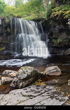 Osten Gill oberen Wasserfall (Osten Gill) im Herbst Swaledale Yorkshire Dales UK Stockfoto