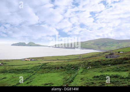 malerische Aussicht in Kerry Irland Felder Küste und Inseln Stockfoto