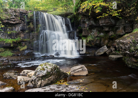 Osten Gill oberen Wasserfall (Osten Gill) im Herbst Swaledale Yorkshire Dales UK Stockfoto