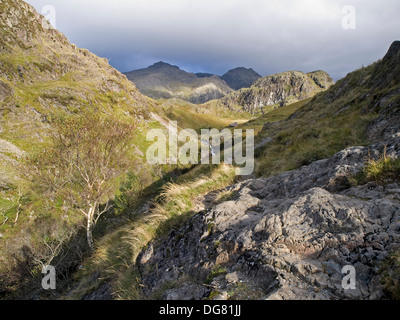 Scafell Pike von der oberen Esk, Lake District, Cumbria Stockfoto