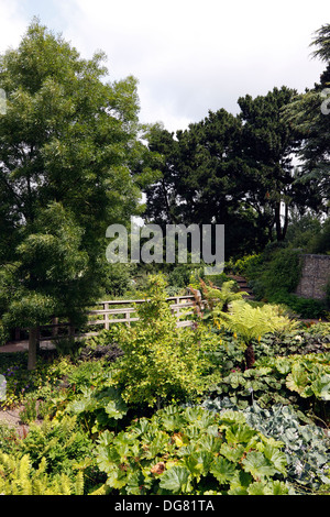 DIE ROBINSON VERSUNKENE GARTEN IN RHS HYDE HALL. ESSEX UK. Stockfoto