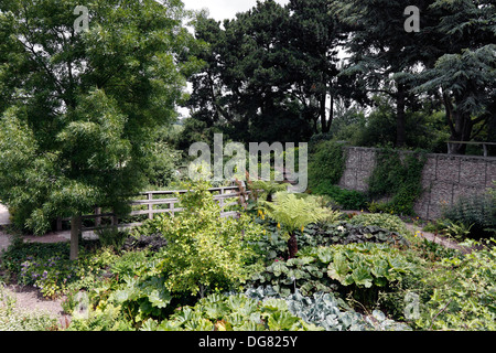 DIE ROBINSON VERSUNKENE GARTEN IN RHS HYDE HALL. ESSEX UK. Stockfoto