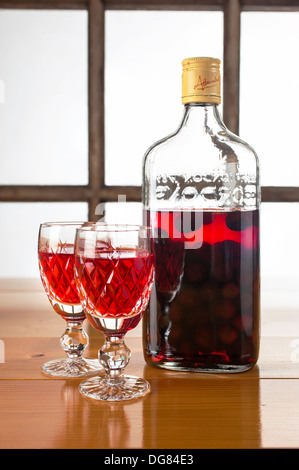 Sloe Gin - hausgemachte Sloe Gin mit Beeren in der Flasche Stockfoto