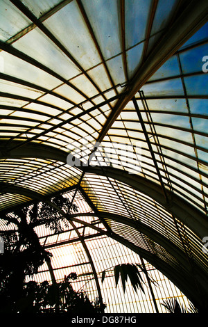 Kew-Garten Glas Haus Palmenhaus der gemäßigten House in Kew Gardens Stockfoto