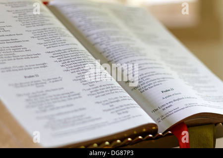 Psalm 23 Mein Hirte des Herrn Stockfoto