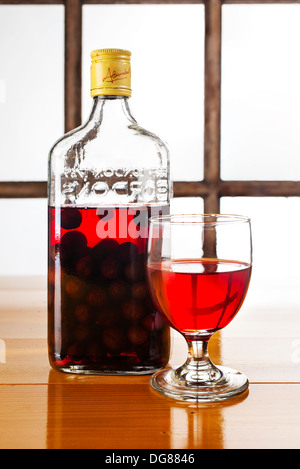 Sloe Gin - hausgemachte Sloe Gin mit Beeren in der Flasche Stockfoto