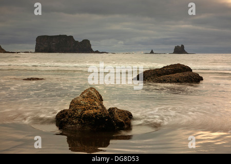 Wasser wirbeln um einen Felsen Barnacle bedeckt am trüben Abend entlang der Pazifikküste am zweiten Strand in Olympic Nationalpark Stockfoto