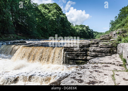 Aysgarth fällt im Sommer Stockfoto