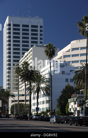 Ocean Avenue, die Innenstadt von Santa Monica, Kalifornien Stockfoto