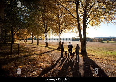Drei Menschen mit Hunden spazieren aufhören zu Chat unter eine Allee von Bäumen in Herbstfarben Stockfoto