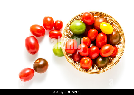 Bunte Kirschtomaten vom Bio-Garten gepflückt. Stockfoto