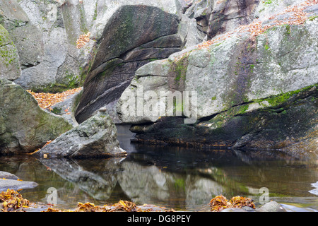 Geformten Felsen Naturgebiet in Groton, New Hampshire, USA Stockfoto