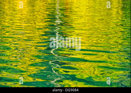 Reflexionen in der Chilko River im Frühherbst Chilcotin Wildnis BC innen Kanada Stockfoto