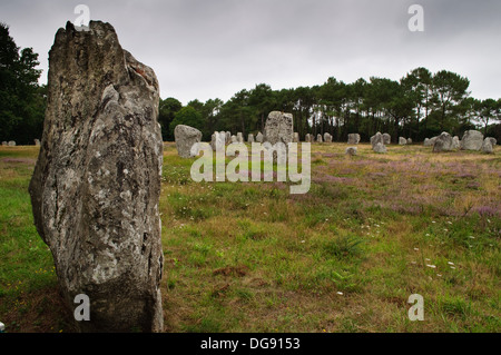 Stehenden Steinen bei Carnac in der Bretagne, Frankreich. Stockfoto