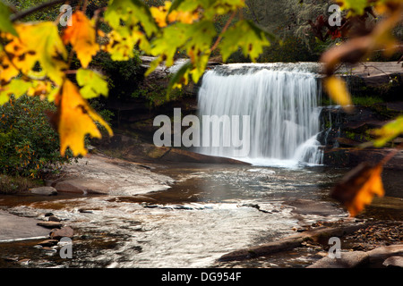 Lebendige Wasser Wasserfall - Balsam Grove, North Carolina USA Stockfoto