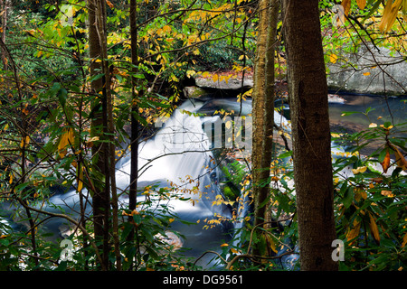 Wasserfall am lebendigen Wassers - Balsam Grove, North Carolina USA Stockfoto