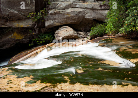 French Broad River in der Nähe von Living Waters - Balsam Grove, North Carolina USA Stockfoto