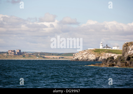 Inner Farne auf der Farnes Inseln vor gemeinsame in Northumberland mit Bamburgh Castle im Hintergrund. Stockfoto