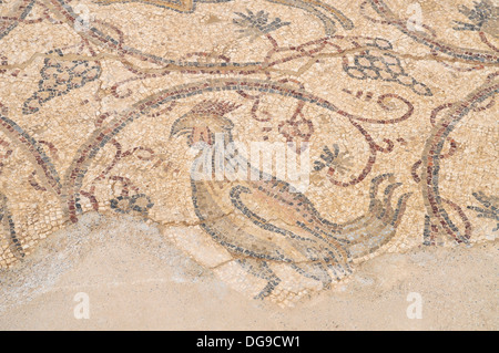 Byzantinische Mosaik mit Tieren und Jagdszenen. Israel, Caesarea, eine Stadt, gebaut von Herodes dem großen etwa 25 - 13 v. Chr. Stockfoto