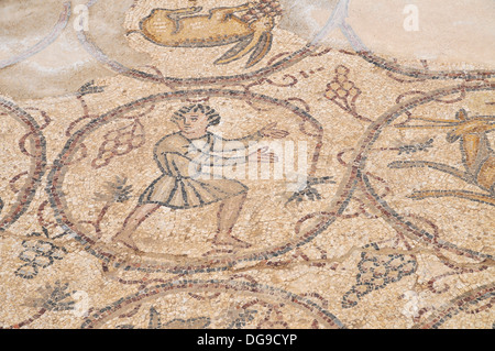 Byzantinische Mosaik mit Tieren und Jagdszenen. Israel, Caesarea, eine Stadt, gebaut von Herodes dem großen etwa 25 - 13 v. Chr. Stockfoto