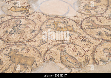 Byzantinische Mosaik mit Tieren und Jagdszenen. Israel, Caesarea, eine Stadt, gebaut von Herodes dem großen etwa 25 - 13 v. Chr. Stockfoto