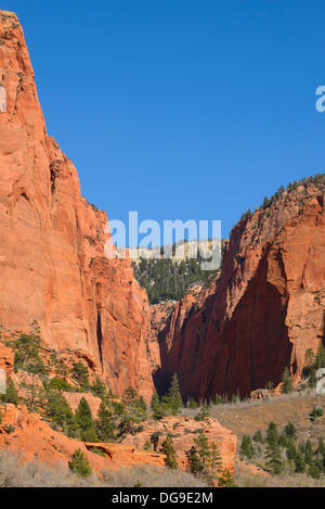 Kolob Canyons, Zion Nationalpark, Utah, USA Stockfoto