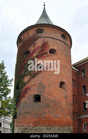 Pulverturm in Riga, bewachsen mit Convolvulus, Lettland Stockfoto